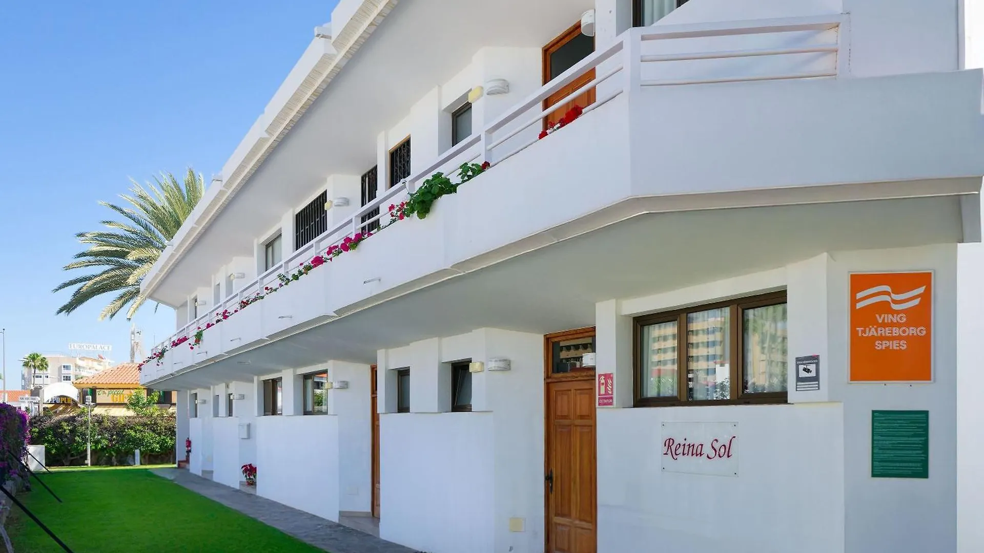 Apartment Salt-Apartaments Reina Sol Playa del Ingles